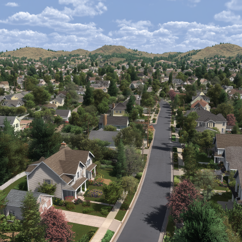 Picturesque Aerial View of Suburban Neighborhood