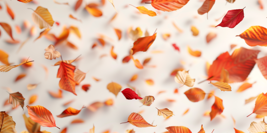 Colorful Autumn Leaves Floating in Air
